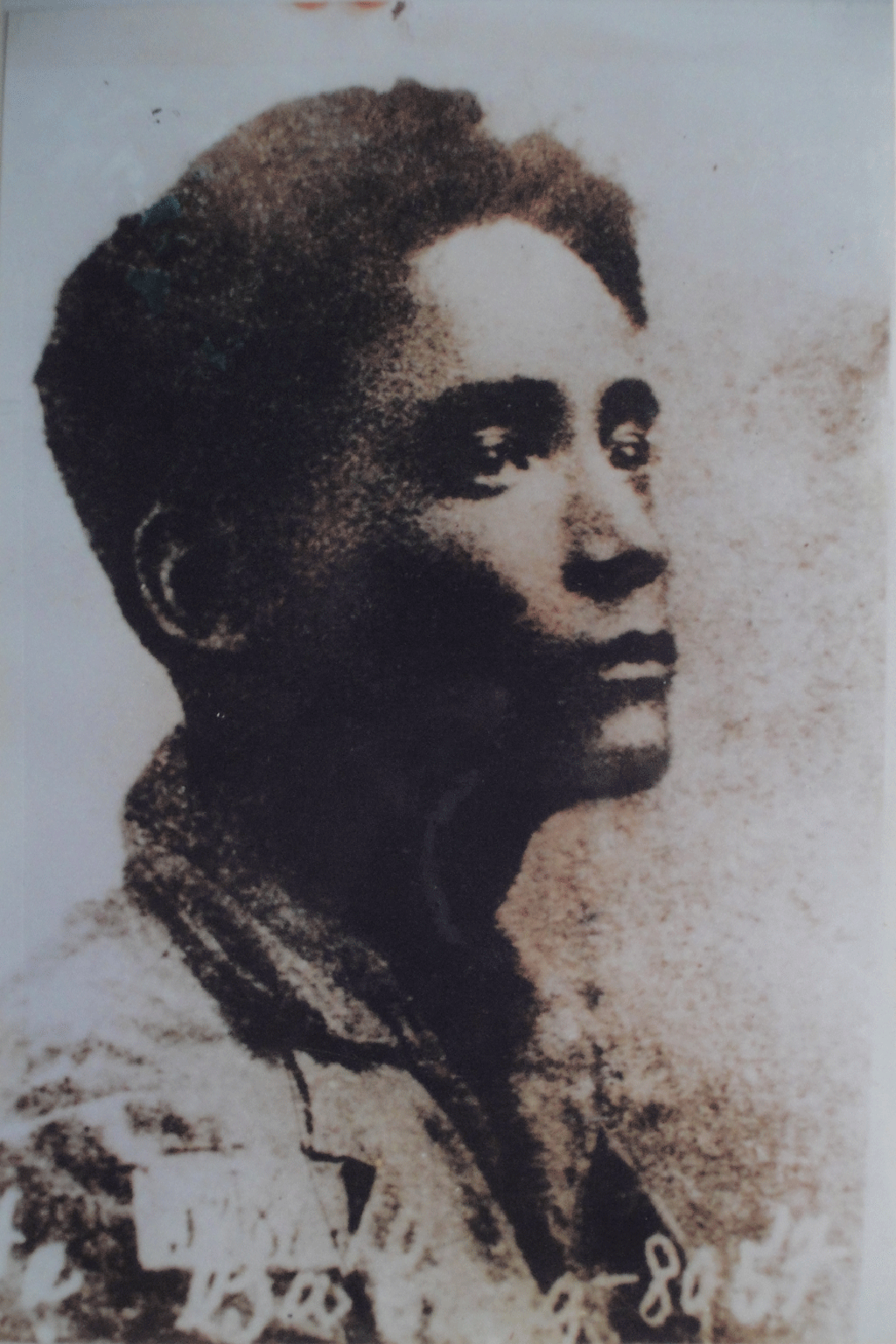 Ảnh căn trái