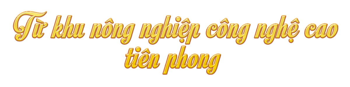 Ảnh trong văn bản