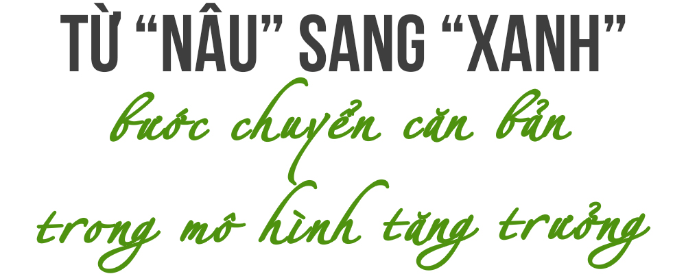 Ảnh trong văn bản