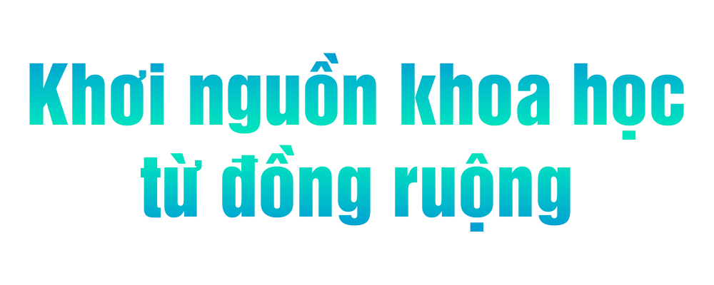 Ảnh trong văn bản