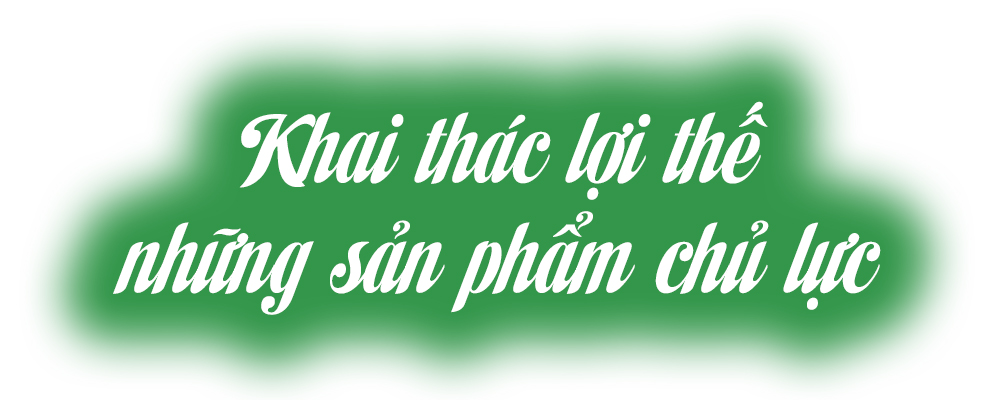 Ảnh trong văn bản