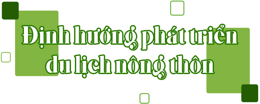 Ảnh trong văn bản