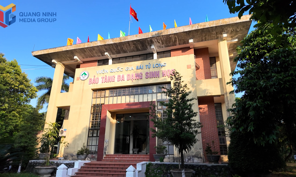 拜子龙国家公园生物多样性博物馆