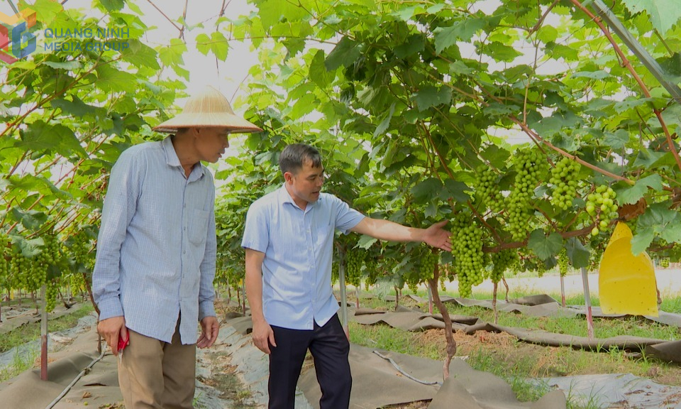 Hiệu quả nguồn vốn Quỹ hỗ trợ nông dân