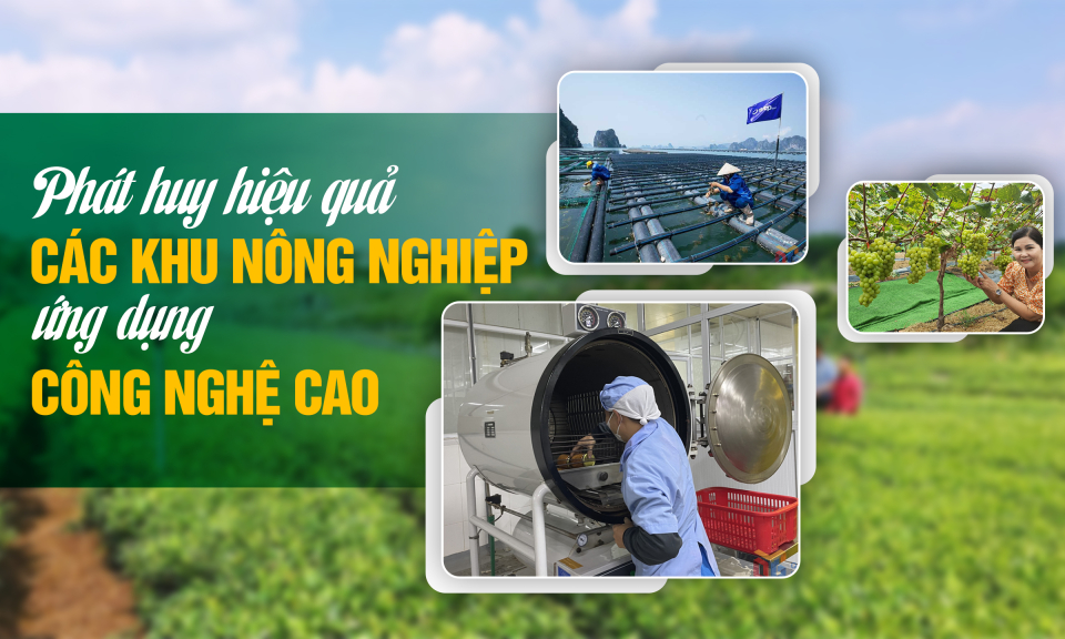 Phát huy hiệu quả các khu nông nghiệp ứng dụng công nghệ cao