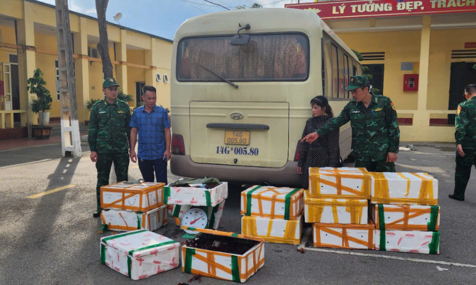 Cần có sự phối hợp chặt chẽ, đồng bộ trong công tác phòng chống hàng giả, hàng kém chất lượng và thực phẩm bẩn