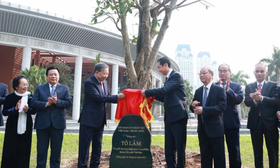 友谊树：中越友谊的绿色纽带 