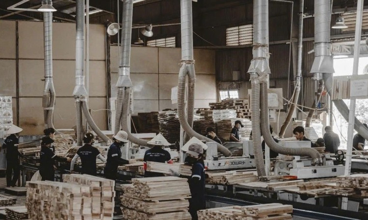 Ngành gỗ chủ động ứng phó phòng vệ thương mại