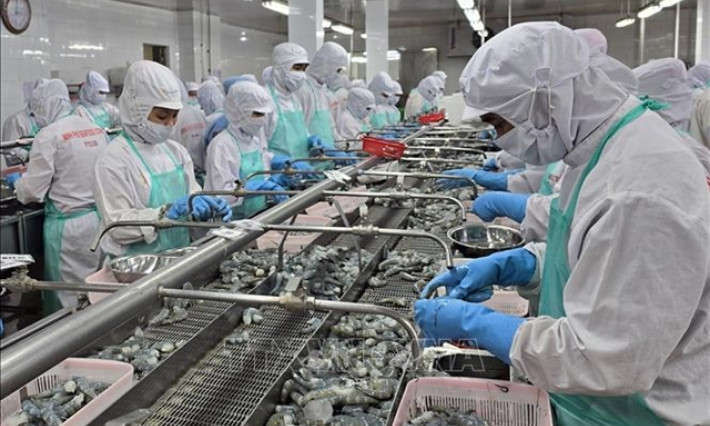 Rise in exports helps bolster economic growth