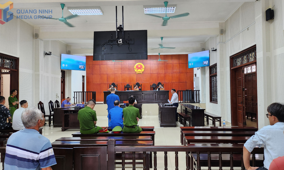 Tổ chức cho người khác nhập cảnh trái phép