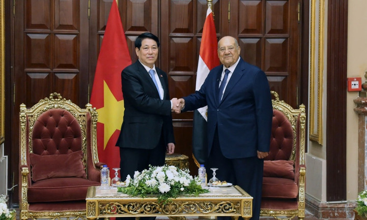 Chủ tịch nước Lương Cường hội kiến Chủ tịch Thượng viện Ai Cập Abdel-Wahab Abdel-Razeq