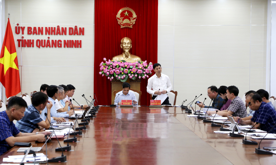UBND tỉnh cho ý kiến tháo gỡ khó khăn một số dự án thuộc ngành Than và Nhà máy điện khí LNG