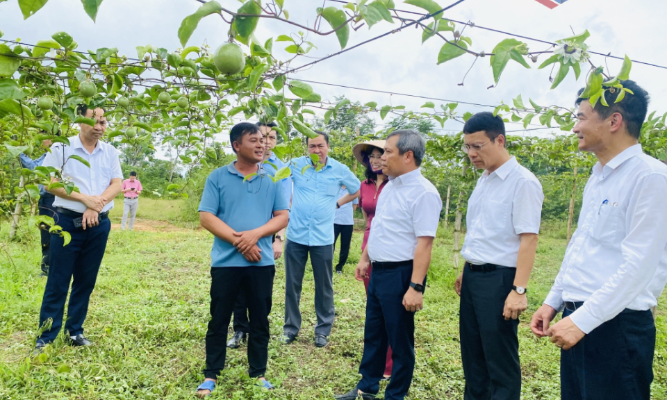 Xã Đầm Hà khai thác tối đa lợi thế, tiềm năng phát triển, tạo sinh kế bền vững cho người dân
