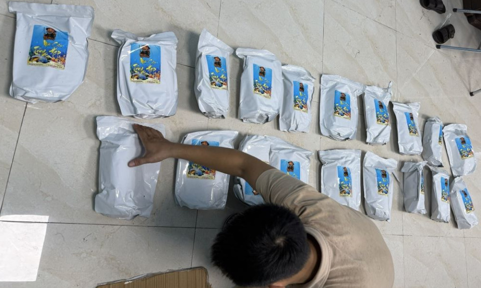 Đà Nẵng phá đường dây mua bán ma túy cỏ Mỹ lớn nhất từ trước đến nay