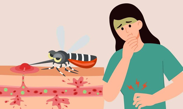 Những triệu chứng cảnh báo bệnh chikungunya bạn không nên bỏ qua
