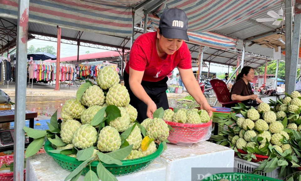 Bản tin vùng Đông Bắc ngày 10/8/2025