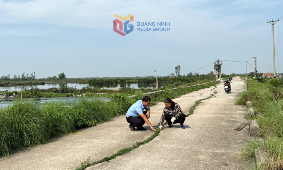 Cần sớm đầu tư nâng cấp tuyến đê Hà An