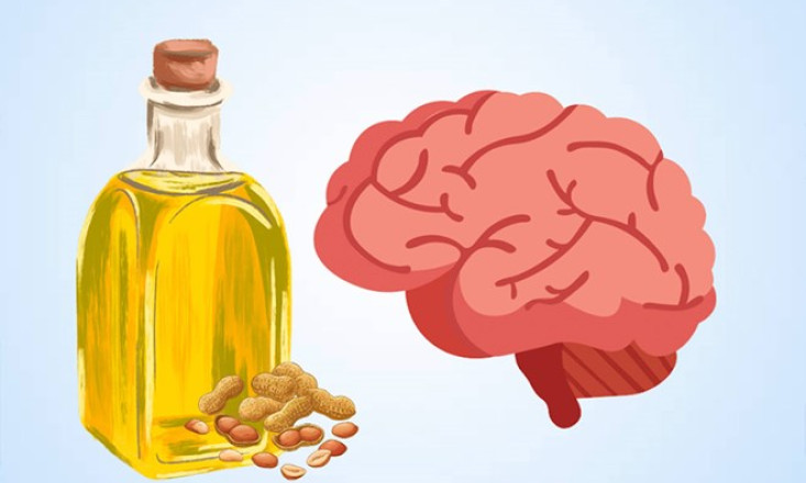 Lợi ích của dầu lạc đối với não bộ