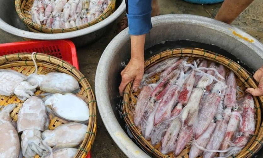 Thị trường Thái Lan 'ghiền' mực, bạch tuộc của Việt Nam, sản phẩm nào 'nóng' nhất?