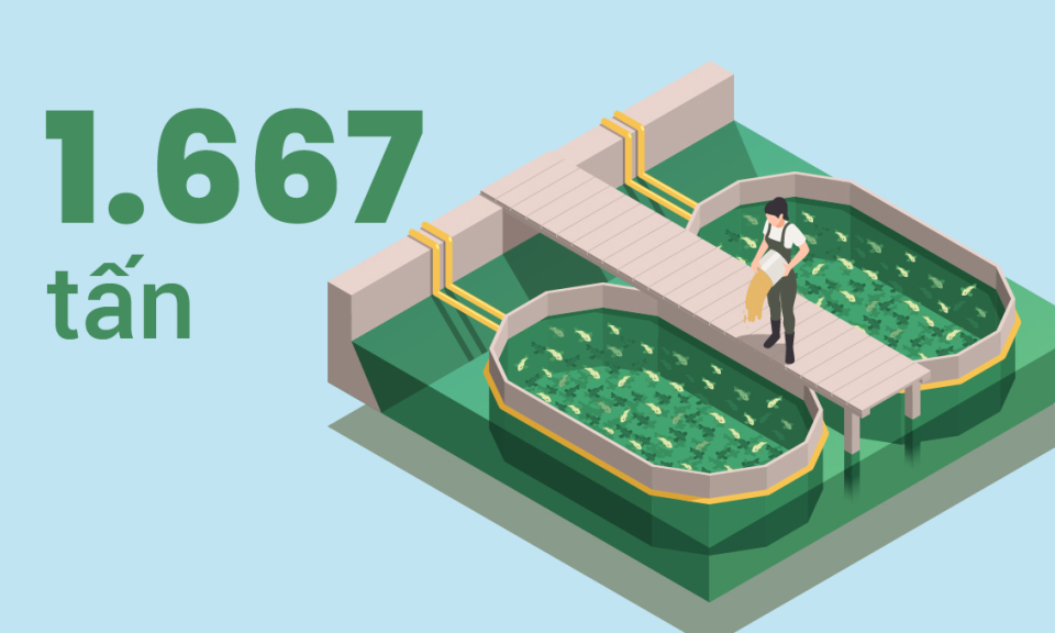 1.667 tấn - là sản lượng thủy sản khai thác được kiểm soát tại Quảng Ninh từ đầu năm 2025 đến nay