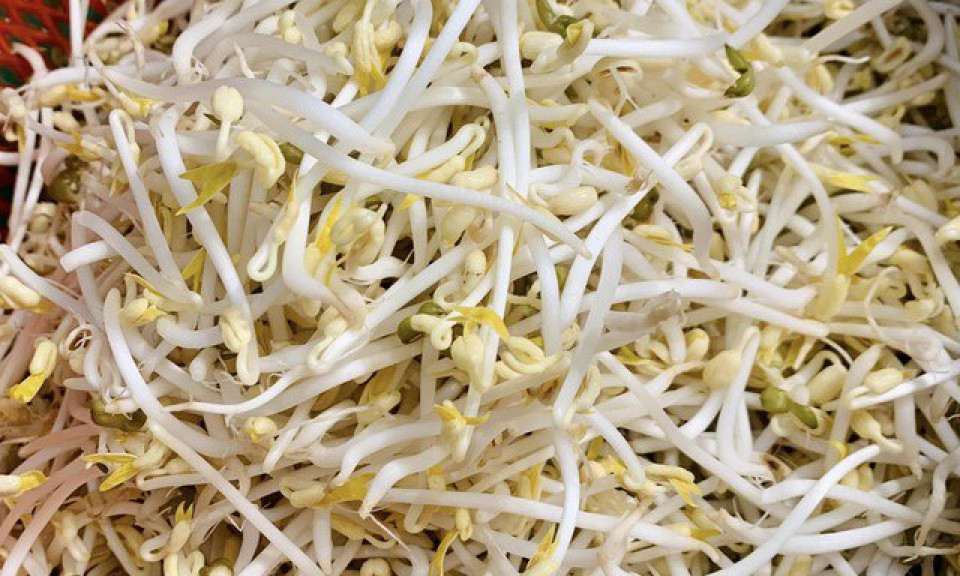 5 lợi ích sức khỏe tuyệt vời của giá đỗ ít người biết