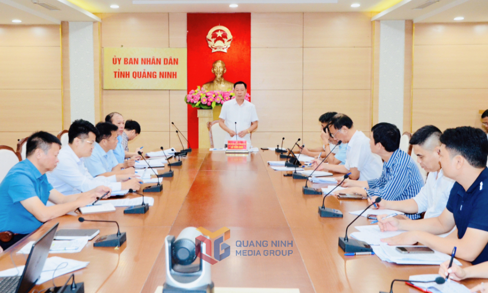 Công ty CP Phát triển dự án Biển Đông cần thực hiện nghiêm các chỉ đạo của UBND tỉnh