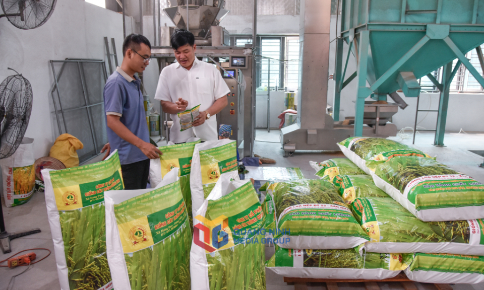 Đảm bảo an ninh lương thực