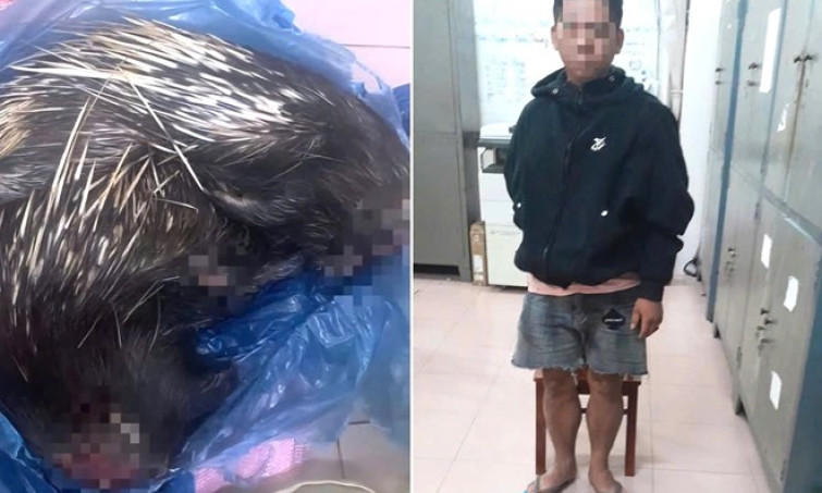 Phát hiện đối tượng đặt bẫy nhím, cầy vòi hương tại rừng Nam Cát Tiên, Đồng Nai đem đi bán