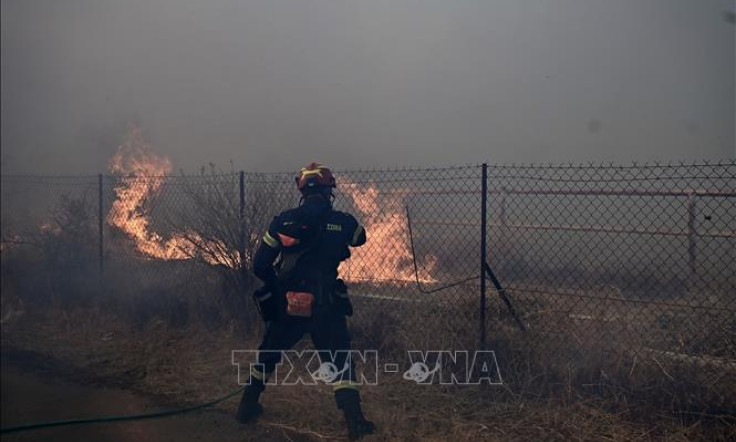 Quy mô cháy rừng ở châu Âu cao gấp đôi mức trung bình