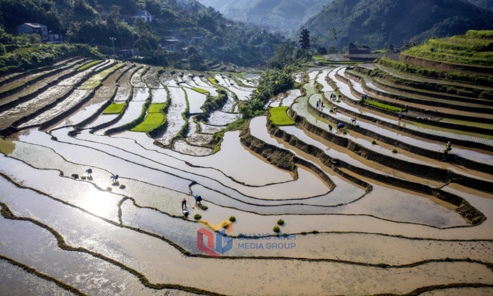 东五水季