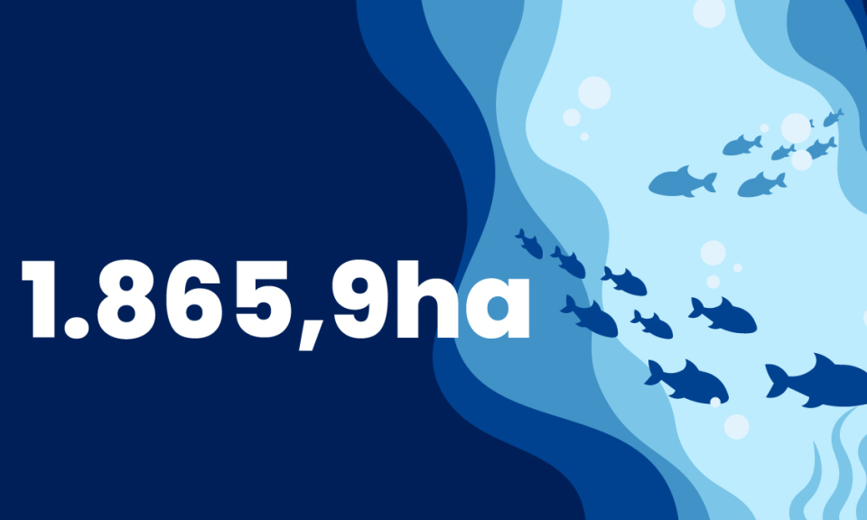1.865,9 ha - là diện tích biển đã được giao để nuôi trồng thuỷ sản trên địa bàn tỉnh