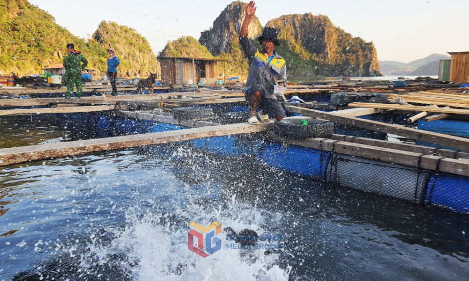Điều chỉnh mức thu tiền sử dụng khu vực biển để gia tăng sức cạnh tranh cho ngành thủy sản