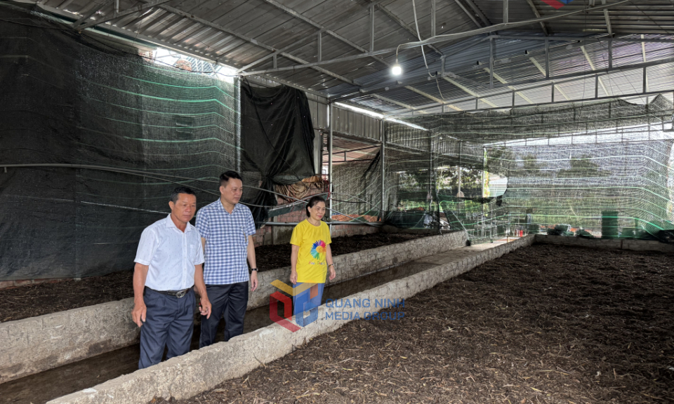 Lan tỏa tinh thần đoàn kết cộng đồng
