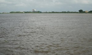 Một cán bộ biên phòng ở Ninh Bình tử vong trong khi làm nhiệm vụ