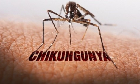 Trung Quốc phát hiện thêm các ca bệnh Chikungunya