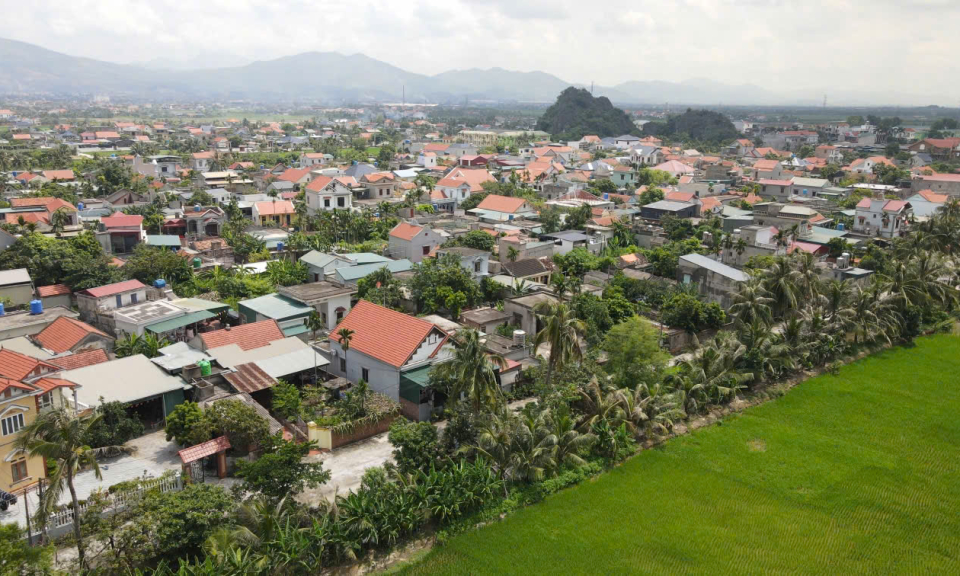 Ảnh trong văn bản