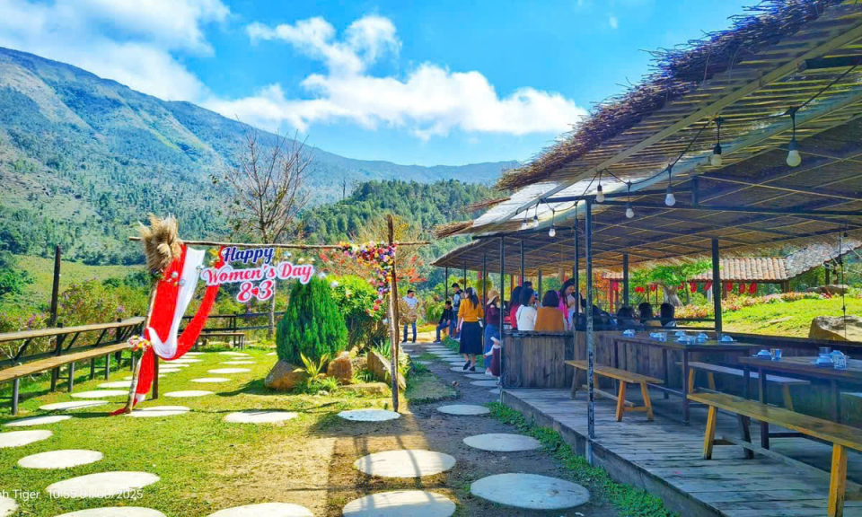 Ảnh trong văn bản