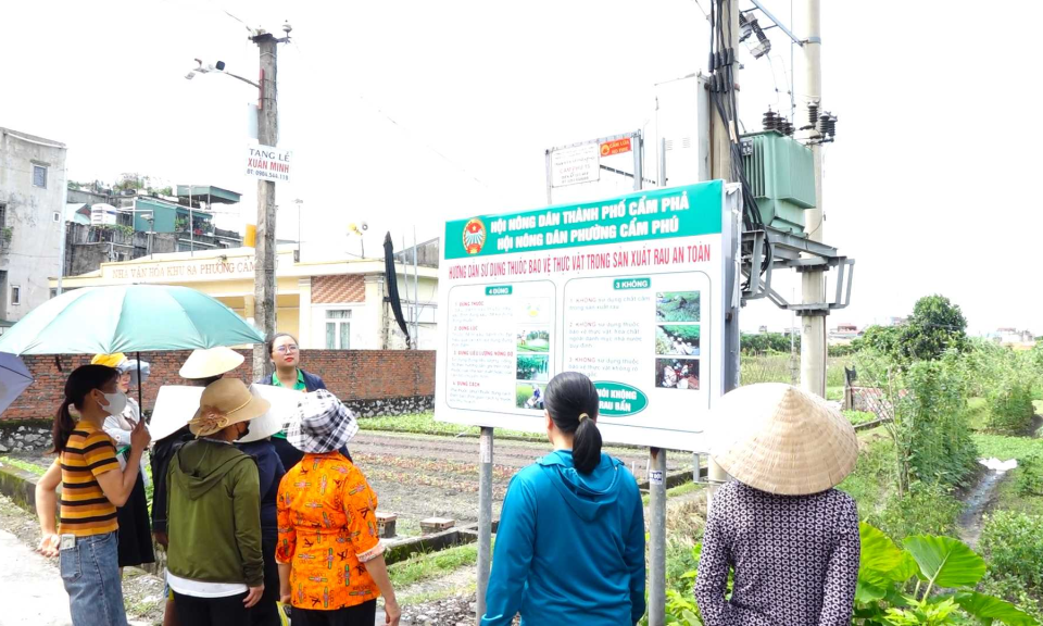 Kiểm soát ô nhiễm môi trường trong sản xuất nông nghiệp