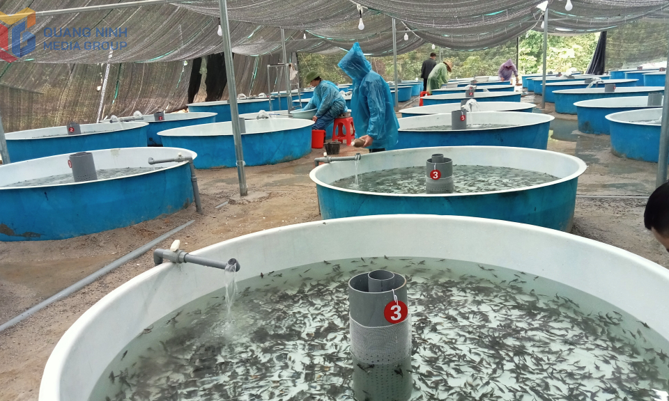 Mở ra tương lai phát triển bền vững