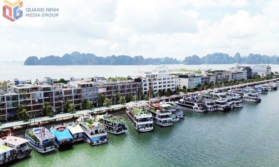 Tạm ngừng cấp phép tàu từ 13 giờ ngày 18/8