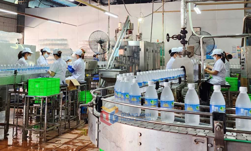 Nâng tầm doanh nghiệp từ trí tuệ, công nghệ