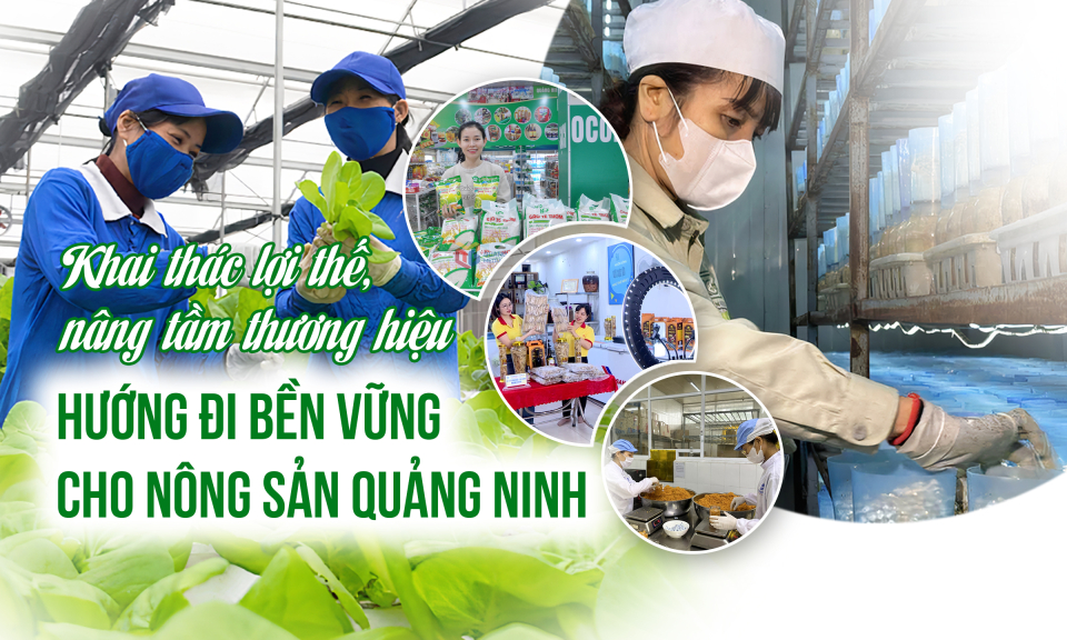 Hướng đi bền vững cho nông sản Quảng Ninh