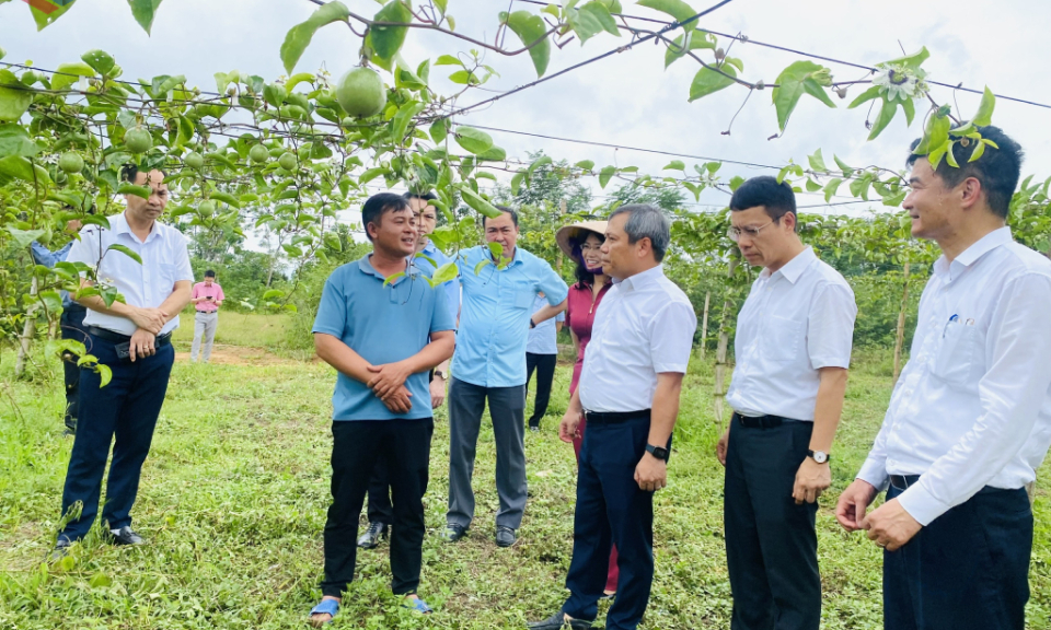 Tầm vóc mới của các xã, phường, đặc khu