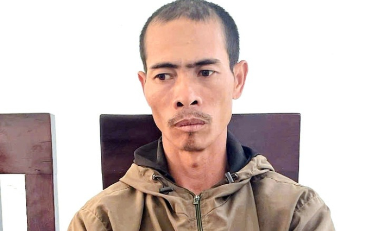 Chặt phá vườn cà phê của em vợ, anh rể nhận 2 năm 9 tháng tù