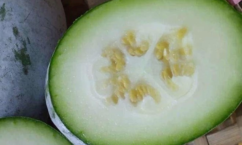 Lý do bí xanh có lợi cho sức khỏe gan