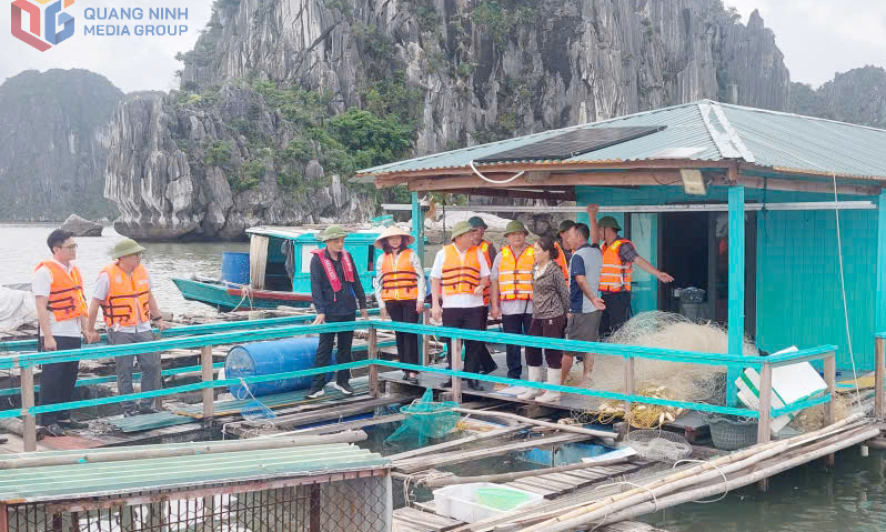 Phó Chủ tịch HĐND tỉnh Nghiêm Xuân Cường kiểm tra tình hình nuôi biển tại phường Hà An