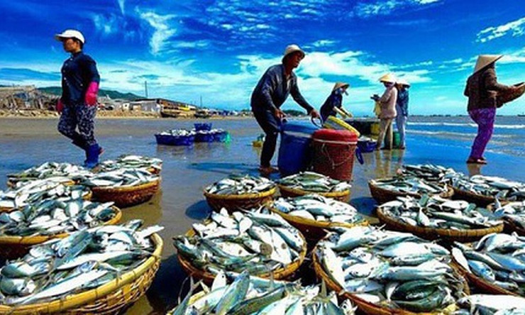Thúc đẩy tiêu thụ thủy sản nội địa để cân bằng phát triển