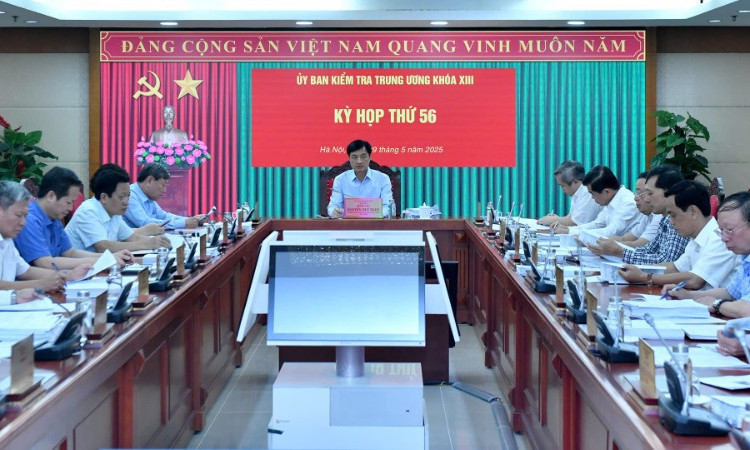 Bộ Chính trị, Ban Bí thư thi hành kỷ luật tổ chức đảng, đảng viên vi phạm