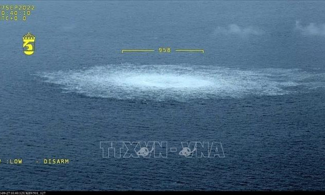 Bắt giữ nghi phạm cầm đầu nhóm phá hoại “Dòng chảy phương Bắc”