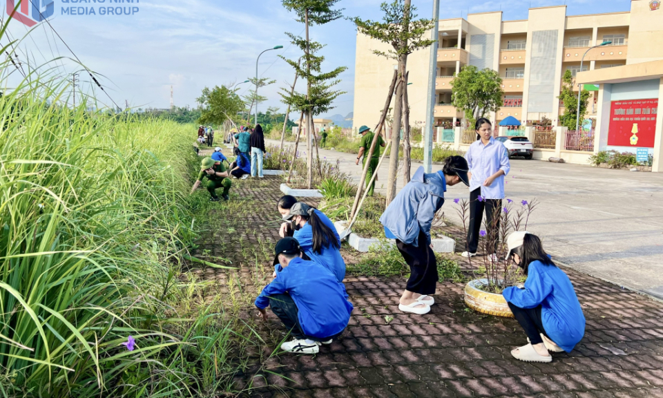 Tuần Châu: Ra quân tổng vệ sinh môi trường chào mừng Quốc Khánh 2/9